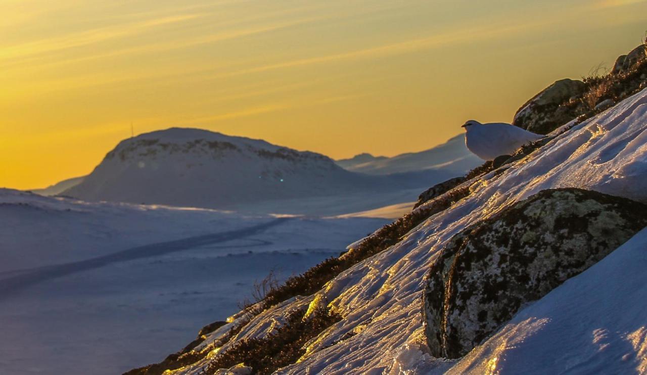 Ahma Moekki Appartement Kilpisjärvi Buitenkant foto